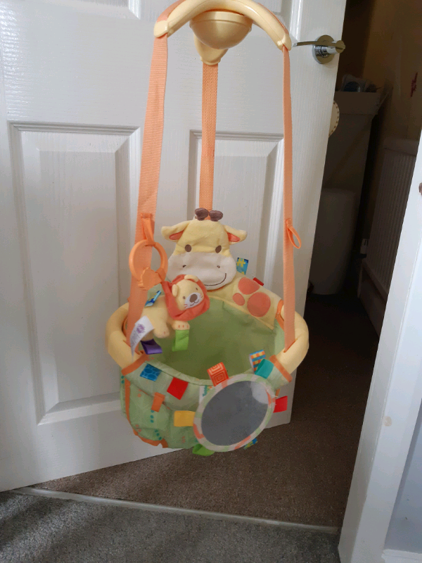 taggies door bouncer